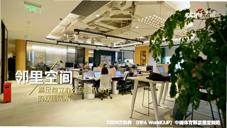 核心团队与专业资质